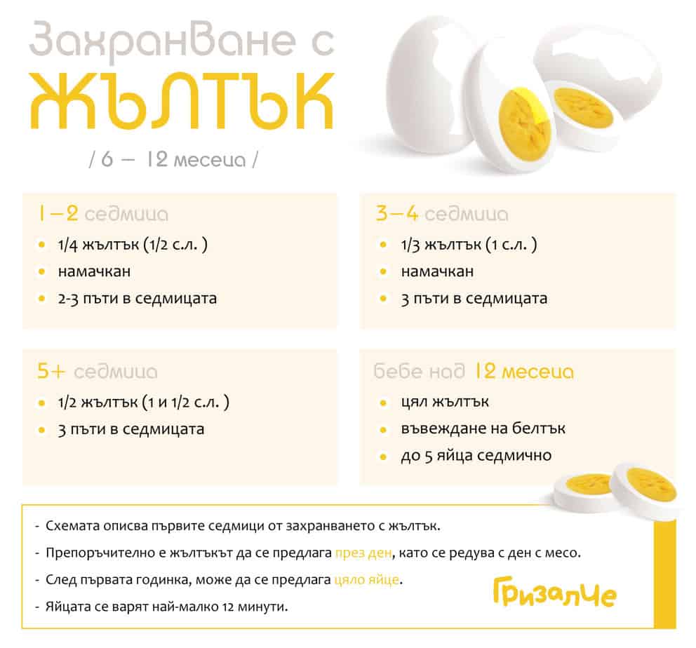 Схема на захранване с жълтък — количества по седмици | Гризалче