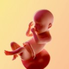 Тридесета седмица от бременността – 30 гестационна седмица