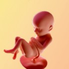 Бременност седмица 32