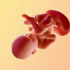 35 гестационна седмица – 35 седмица от бременността