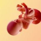 Тридесет и седма седмица от бременността