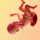 Тридесет и девета седмица от бременността