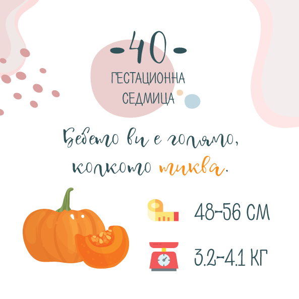 Бременност седмица 40