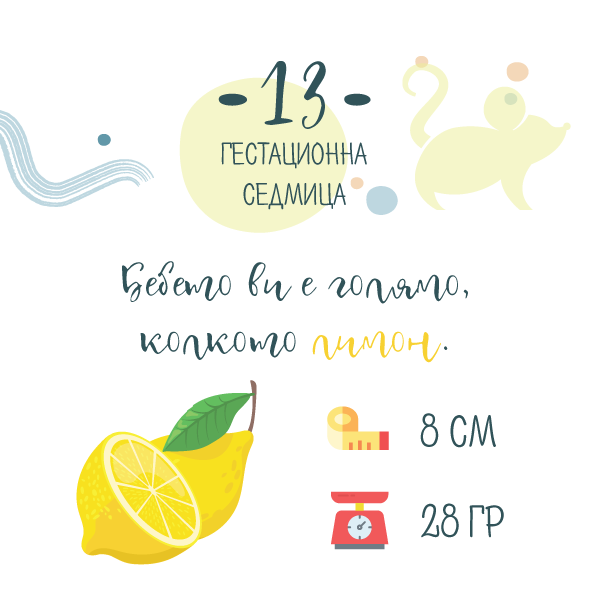 13 гестационна седмица – 13 седмица от бременността