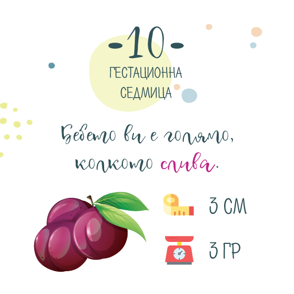10 гестационна седмица от бременността