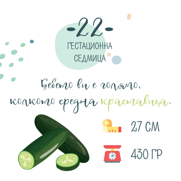 22 гестационна седмица от бременността