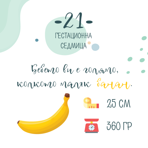 21 гестационна седмица от бременността