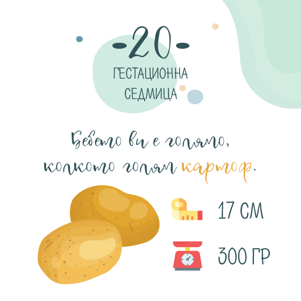 Бременност седмица 20