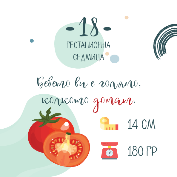 18 гестационна седмица – 18 седмица от бременността